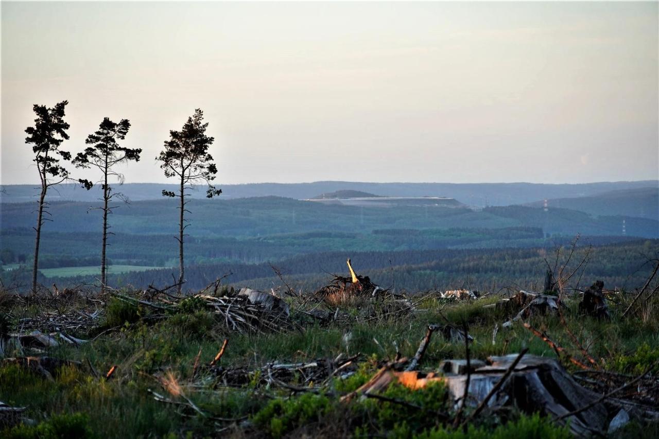 "Petite Perle En Haute Ardenne" Avec Vue Sur La Vallee, Cabine Infra-Rouge Et Bain Balneo Lierneux Экстерьер фото
